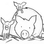 Sketch of Pigs